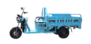 รถสามล้อไฟฟ้าสำหรับผู้ใหญ่ 800W/1000W แบบเปิดประทุน 60V สามล้อ ผลิตในจีน - Product Image 4