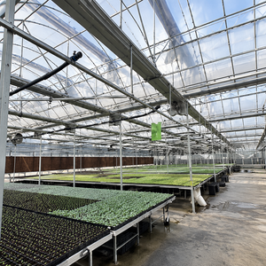 Serre en verre commerciale avec structure en aluminium et panneaux en verre trempé pour la culture des légumes et des fleurs toute l'année - Product Image 3
