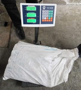 X6854 HACCP Fabricant de calmar argentin congelé pour le marché <span class=keywords><strong>Illex</strong></span> Squid 150-200g - Product Image 6