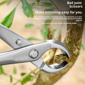 <strong>Bonsai</strong> Tool Set Silvery 3-Year Warranty Manual Ball Joint <strong>Shear</strong> Oblique Ball <strong>Shear</strong> Integrated Leaf Bud <strong>Shear</strong> Potted Plant - Product Image 4