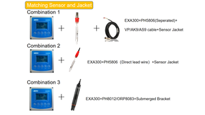 BOQU EXA300 промышленный онлайн Цифровой <span class=keywords><strong>ph</strong></span> контроллер дозатор гидропоники - Product Image 3