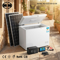 Réfrigérateur solaire 250L en stock, mini-réfrigérateur portable double alimentation DC 12V 24V pour camping-car, caravane, fourgonnette, maison hors réseau