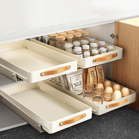 Étagère coulissante rétractable pour armoires de cuisine, avec tiroirs, boîtes de rangement, bacs, égouttoir à vaisselle et étagère à épices