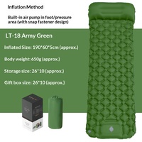 Matelas gonflable léger pour le camping en plein air, avec pompe intégrée, lit simple, tapis de couchage en TPU, résistant à l'humidité, 40D