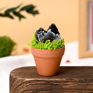 Nouveau Produit : Cadeaux de spécimens minéraux naturels, pierres brutes de cristal, roches de bonsaï pour la guérison et la décoration - Product Image 6