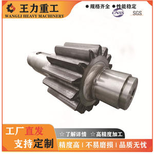 Arbres d'engrenage à grands modules fournis par l'usine pour l'entraînement des convertisseurs de laminoirs d'acier – Catégorie de produit : Laminoirs - Product Image 5