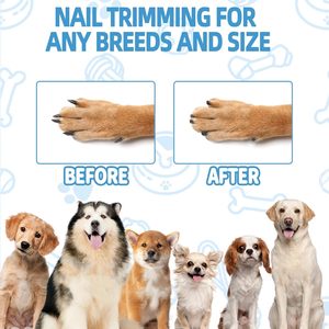 Premium Eco-Friendly Wood Dog <b>Scratch</b> <b>Pad</b> & Nail File Toy with Customized Color Multi-Shape Options and Custom Logo - Product Image 2