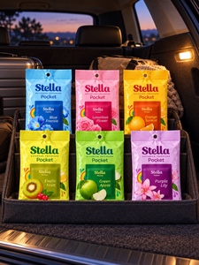 Parfum de voiture Stella Pocket, best-seller, luxueux et tendance. - Product Image 1