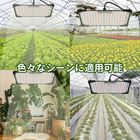 Lampe de croissance des plantes LED intelligente de type panneau 60W avec contrôle réglable du temps et de la luminosité