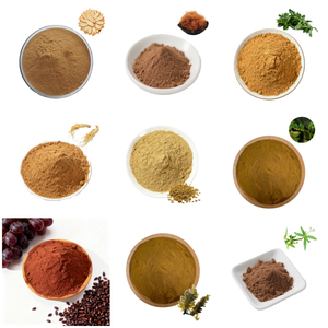 Kruidensupplementen <span class=keywords><strong>Xi</strong></span> <span class=keywords><strong>Xian</strong></span> <span class=keywords><strong>Cao</strong></span> Kruiden Siegesbeckia Orientalis Poeder Siegesbeckiae <span class=keywords><strong>Extract</strong></span> - Product Image 5