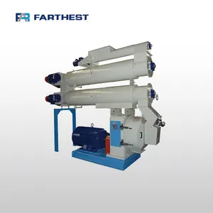 Large Capacity Floating Feed Pelletizer Fish Feed Manufacturing Equipment