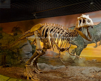 Vente d'usine Réplique réaliste de crâne de T-Rex Squelette Demi-corps Personnalisé