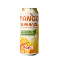 Vente en gros 330ml 500ml 33cl 50cl boisson gazeuse gazeuse gazeuse boisson au jus aromatisée aux fruits en canettes