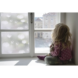 Película Decorativa Opaca para Ventanas, Persianas y Cortinas de Diseño Dandelion para Comercio Electrónico - Product Image 4