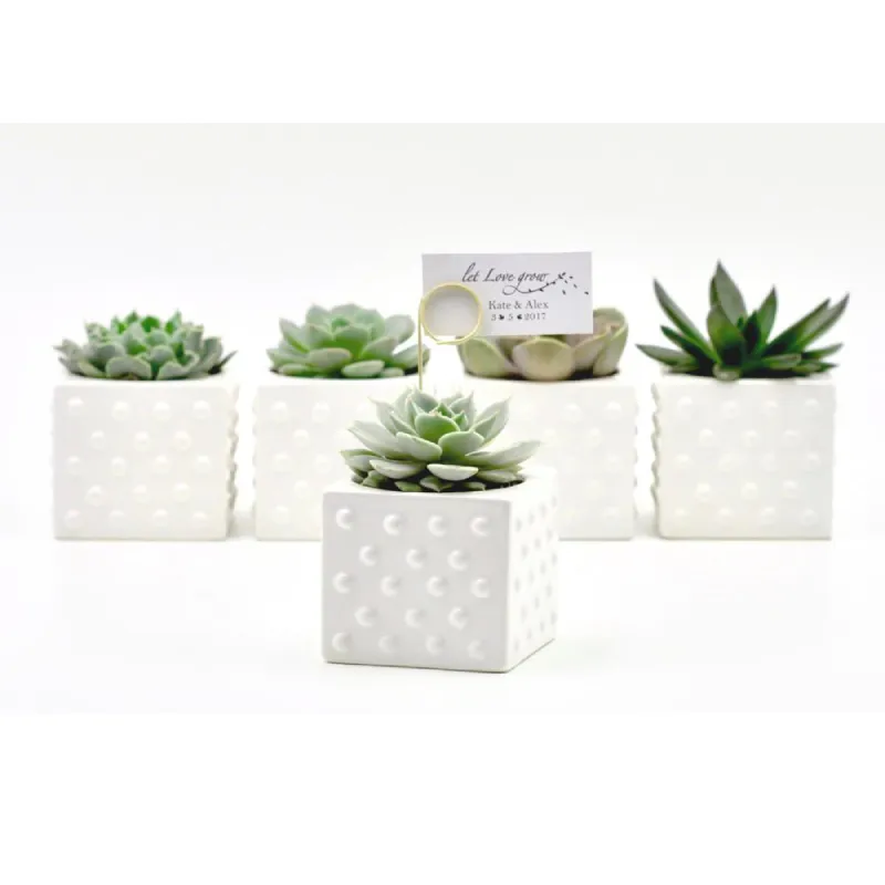 Nordic mini desktop indoor home office decor wedding guest gift ceramic polka dot flower pot for succulent cactus