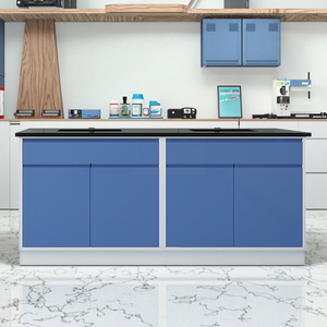 Mobilier de laboratoire moderne en acier personnalisé Cabinets de chimie scolaire et banc de laboratoire à faible coût de qualité supérieure pour la biologie - Product Image 1