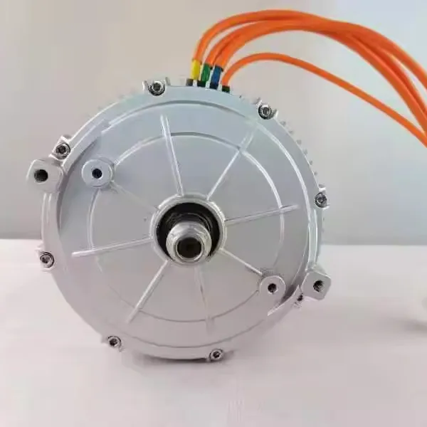 motor elétrico para cortador de grama 48V 3KW