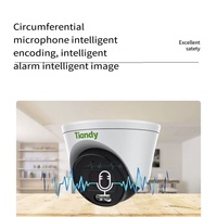 Caméra CCTV IP HD POE avec vision nocturne couleur 4MP et audio Tiandy