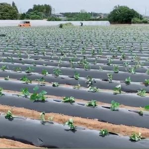 УФ-мульчирующая пленка для борьбы с сорняками, биоразлагаемая, гибкая, черная/серебристая, из полиэтилена, для сельского хозяйства, длина 100 м, с услугой нарезки - Product Image 2