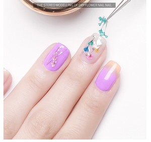 12 couleurs bricolage japonais <span class=keywords><strong>Nail</strong></span> <span class=keywords><strong>Art</strong></span> 3D plein ciel étoile conception plante naturelle inspirée fleur séchée décoration des ongles Style français - Product Image 6