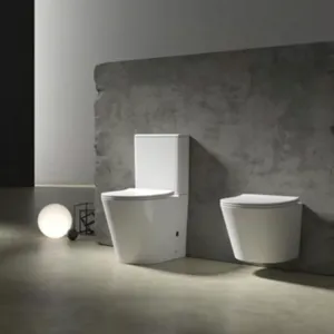 15 سنة OEM/ODM تجربة أرخص المراحيض المقربة من السيراميك الحمام غسل أسفل مقعد مزدوج تدفق لينة اثنين من المراحيض قطعة