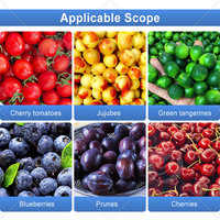 HNOC Aardbei Sorteermachine Avocado Sorter Citroen Ui Olijf Aardbei Appel Fruit Sorteermachine