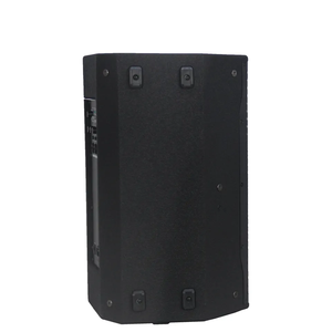 <span class=keywords><strong>Leon</strong></span> Audio 10 pulgadas pro audio 600W activo Karaoke Powered madera DSP pa altavoz - Product Image 2