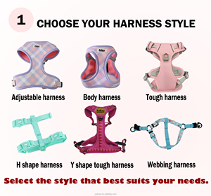 Nouveau style de produits pour animaux de compagnie : Harnais personnalisé pour chien, accessoires brodés à carreaux, logo PVC personnalisé, vente en gros - Product Image 1