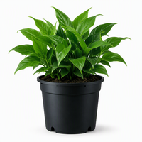Pots de jardin suspendus au sol en PP de haute qualité, style Japandi, avec trou de drainage, légers, durables, modernes, pour l'extérieur, auto-arrosants