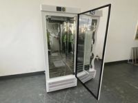 Équipement de laboratoire : Incubateur biochimique en acier inoxydable à convection forcée