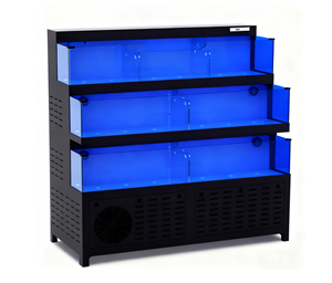 Tủ trưng bày hải sản bằng kính trong suốt 2 lớp, thân thiện với môi trường, chất lượng cao, có thể điều chỉnh nhiệt độ, dùng cho phòng ăn - Product Image 2