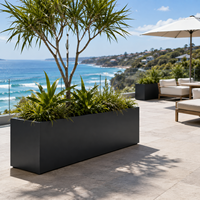 Privacy Divider Plantenbak Lange stalen plantenbak Drainagegaten Milieuvriendelijk ontwerp voor patio, terras, zitplaatsen aan het zwembad, tuinen