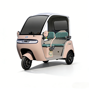 Tricycle électrique à carrosserie ouverte à <span class=keywords><strong>bas</strong></span> prix, 650W, pour adultes, 3 places, vitesse maximale de 35 km/h - Product Image 3