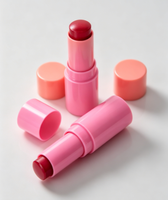 Stick de blush de qualité supérieure, haute pigmentation, imperméable, fini naturel, teinte claire, kit de maquillage cosmétique