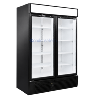 Réfrigérateur de présentation florale monotempérature 209L à refroidissement par air, économe en énergie