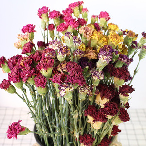 Offre Spéciale : Tiges de Œillets Séchés Naturels – Fleurs Préservées pour la Fête des Mères, Idéales pour la Décoration de Vase - Product Image 2