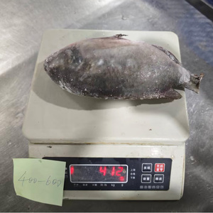 Tilapia en gros, exportation de Chine, poisson tilapia congelé, Peixe Tilapia Congelada - Product Image 2