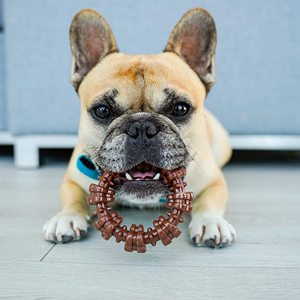 <strong>Nylabone</strong> Power <strong>Chew</strong> Textured Dog <strong>Chew</strong> Ring <strong>Toy</strong> Tough and Durable Dog <strong>Chew</strong> <strong>Toy</strong> for Aggressive Chewers Flavor Medley Large Souper