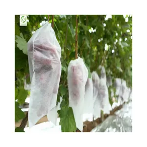 100% polypropylene fabric bags grapes fruit cover protection plastic bag pp non woven fabric for sunburn of the plant