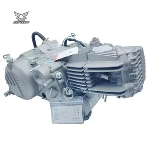 ZS1P62YML-2 zongshen 190cc motorcycle horizontally 4 stroke oil cooling engine zs190 W190 engine with camshaft upward