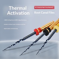 Niceden Clase I Limas Dentales para Tratamiento de Conductos Radiculares, Máquina Oral, Gran Conicidad SX-F3, Limas de Canal de Níquel-Titanio con Activación Térmica