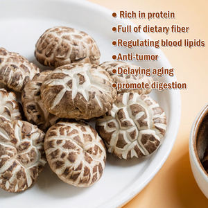 Yüksek kaliteli kurutulmuş mantar çorba fabrikası toptan çiçek için özel şitaki mantarı - Product Image 4