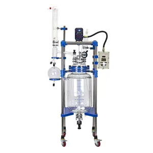 NTSJ brand 50l vacuum hydrolysis chemical glass reactor in China