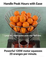 NS2000E-4 Commerciële Automatische Sinaasappelpers 120W RVS Citruspers 20 stuks/min voor Cafés