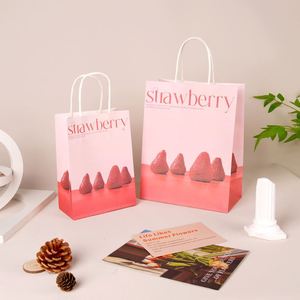 Sac en papier kraft écologique personnalisé en gros avec poignée torsadée pour plats à emporter et logo - Product Image 1