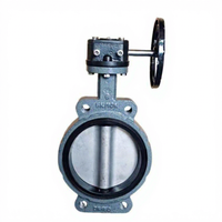 Vanne papillon marine type CS/BS/AS, joint NBR, disque en acier inoxydable 304, DN50-DN300 pour navires, avec garantie 1 an, pour l'eau