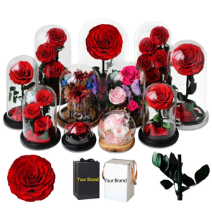 Regalo en Cúpula <span class=keywords><strong>de</strong></span> <span class=keywords><strong>Cristal</strong></span> <span class=keywords><strong>con</strong></span> Luces LED, <span class=keywords><strong>Rosa</strong></span> Eterna Pequeña, Rosas Eternas, Regalo Romántico para Mujeres, Día <span class=keywords><strong>de</strong></span> la Madre, Rosas Preservadas - Product Image 6