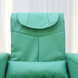 อุปกรณ์ร้านทำเล็บหนังสีเขียวทันสมัย เก้าอี้นวด<span class=keywords><strong>เท้า</strong></span>สำหรับทำ<span class=keywords><strong>เล็บ</strong></span>มือและ<span class=keywords><strong>เล็บ</strong></span><span class=keywords><strong>เท้า</strong></span>สุดหรู พร้อมระบบนวดและปั๊มเจ็ท - Product Image 3