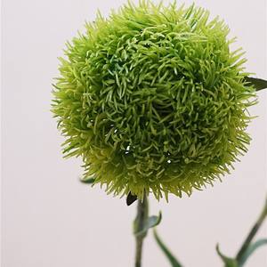 Premium Artificial suave decoración verde pompón Dianthus moderno Hotel arreglos florales para boda MESA DE Navidad para Pascua - Product Image 6