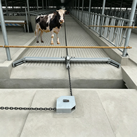 Auto Scraper Electric Cow Manure Scraper Combi Scraper System for Cattle Farm and Manure Scraper Machine for Dairy Cow Farm